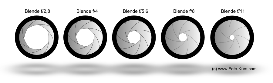 Abbildung: die verschiedenen Blendenzahlen und Größe der Blendenöffnung