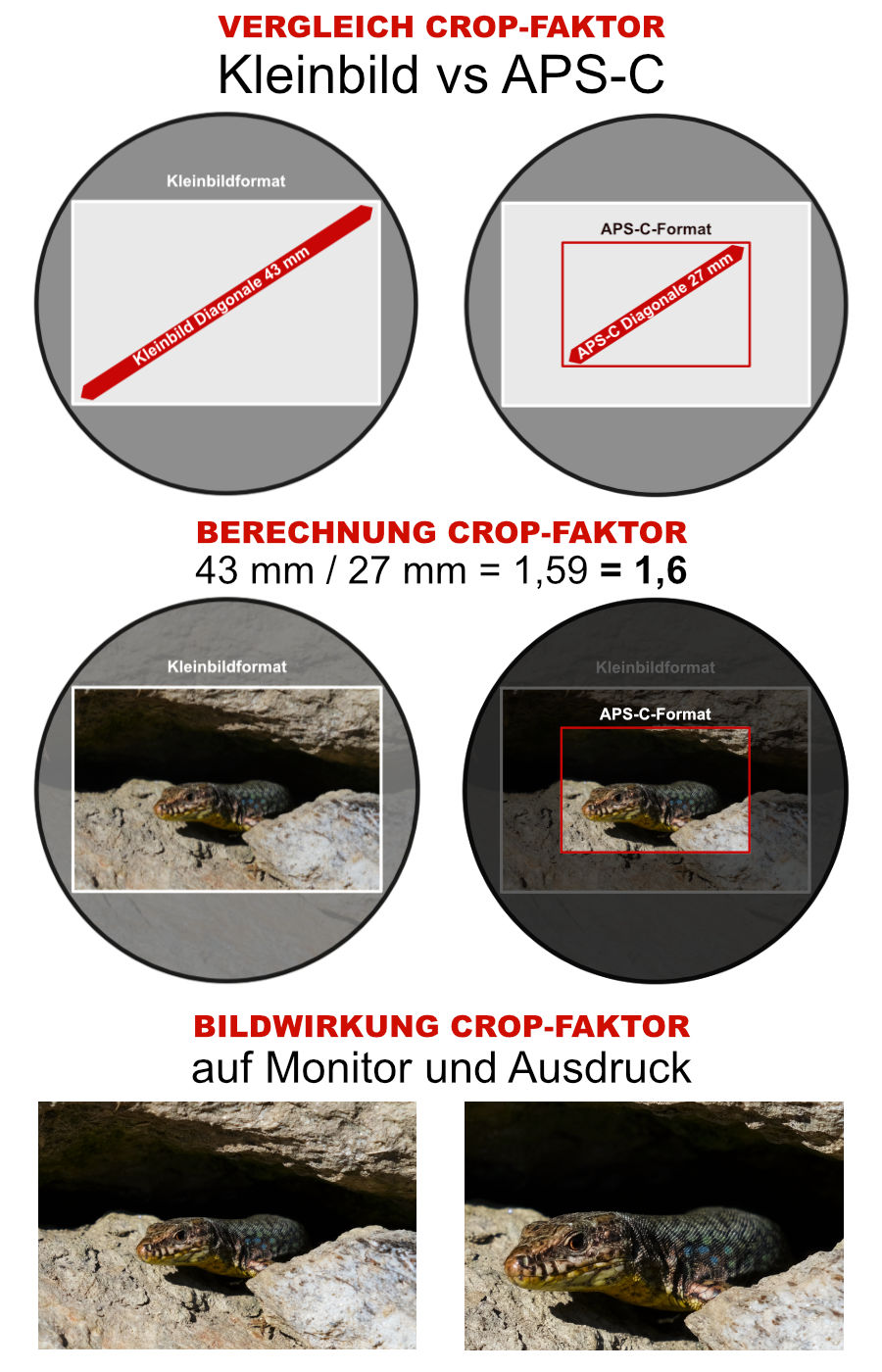 Crop-Faktor im Vergleich Kleinbildformat und APS-C-Sensor