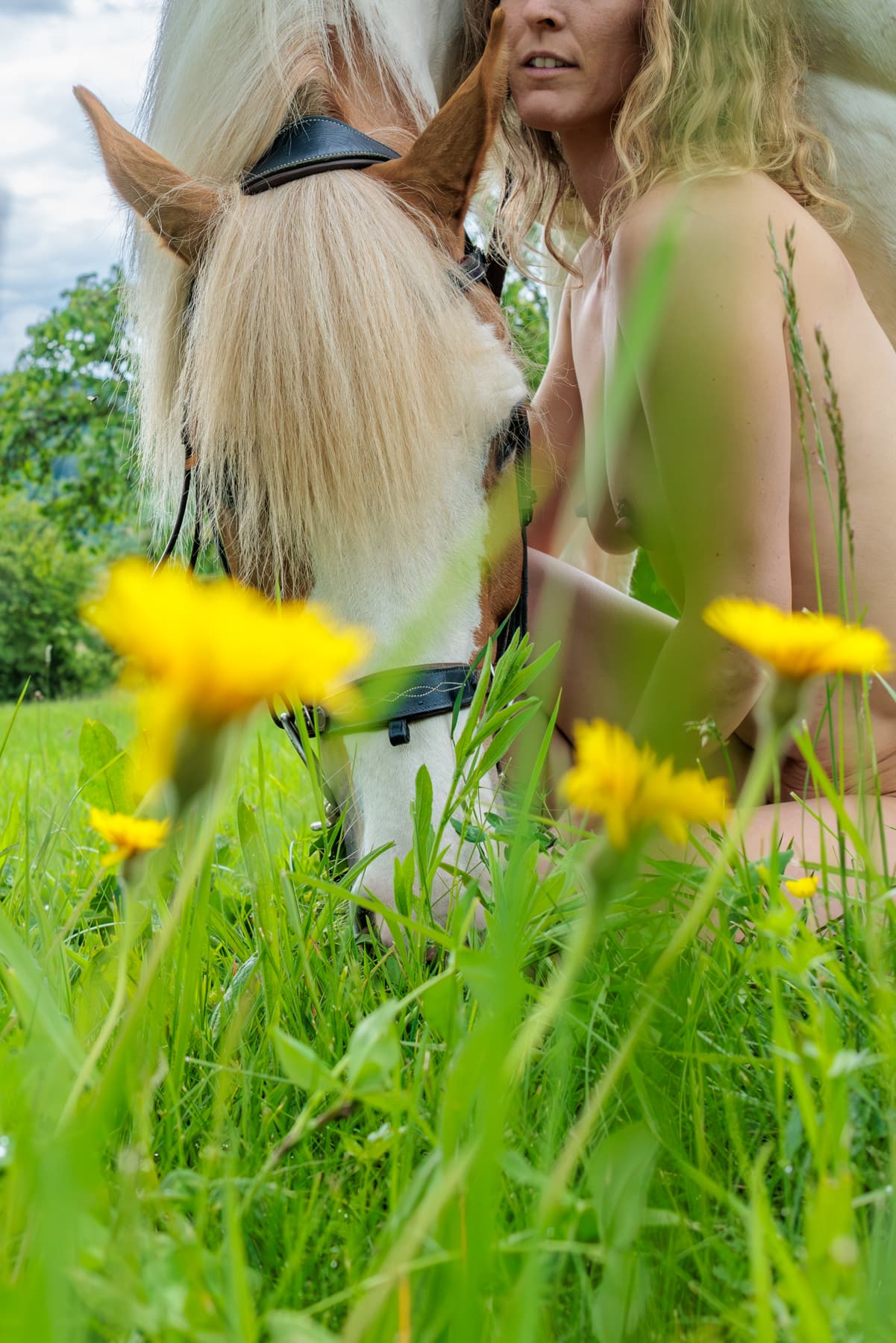 Aktfotografie mit Pferd Aktfotografie mit Pferd