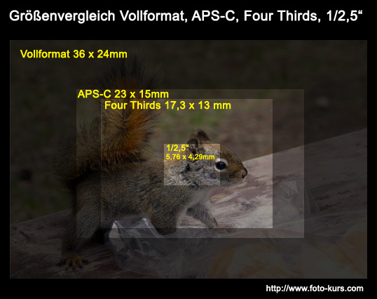 Größenvergleich Bildsensoren Vollformat, APS-C, Four Thirds