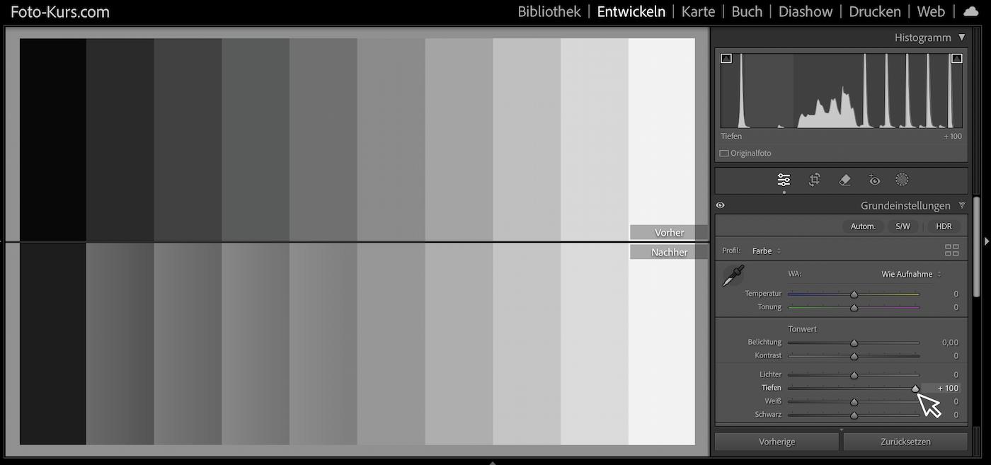 die dunklen Bereich im Bild heller machen – Beispiel Schatten +100 die dunklen Bereich im Bild heller machen – Beispiel Schatten +100