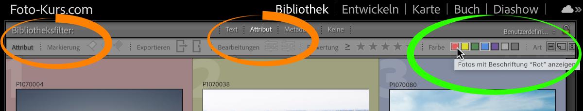 Filtern über Bibliotheksfilter und Attribute Filtern über Bibliotheksfilter und Attribute