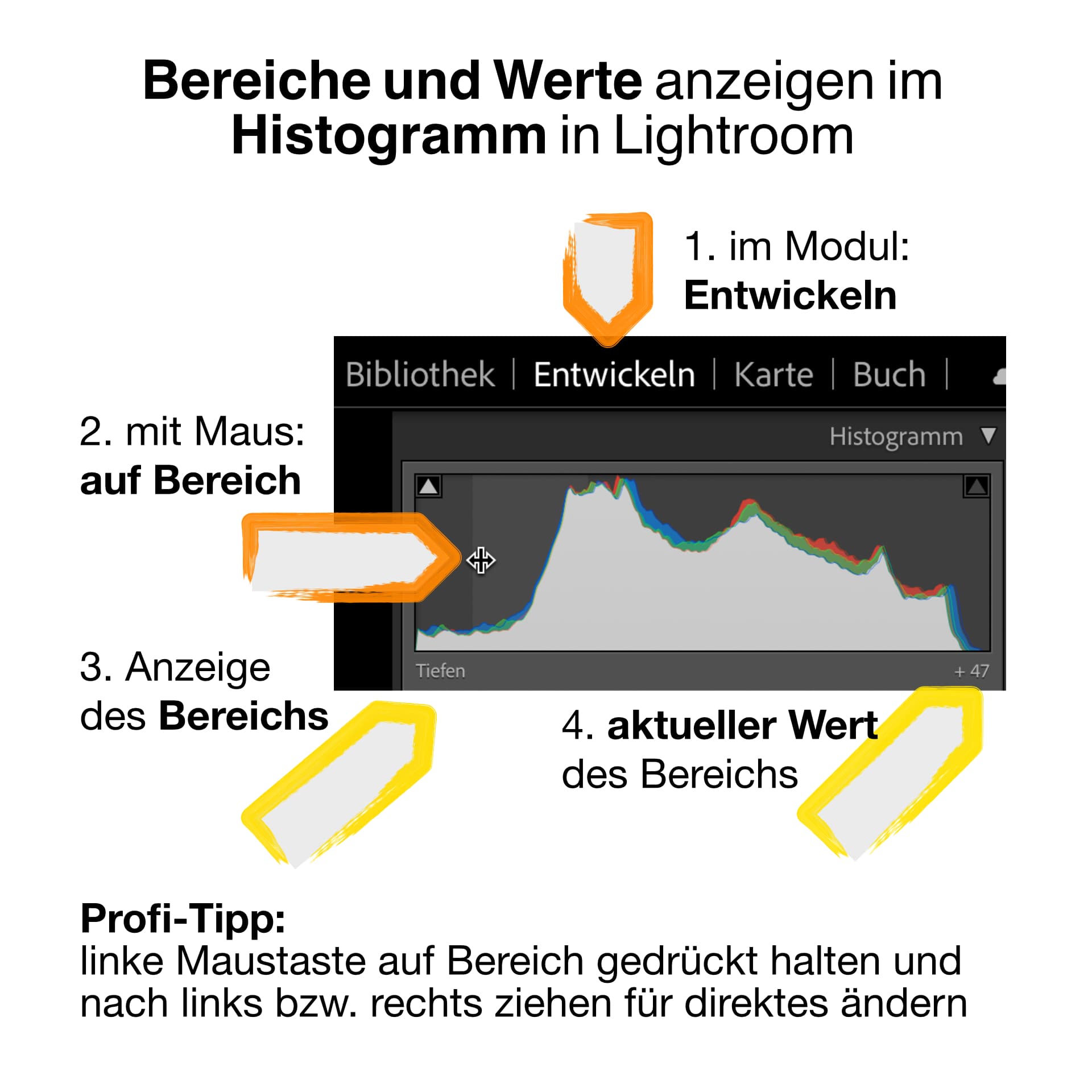 Tonwert-Bereich direkt bearbeiten über Lightroom Histogramm Tonwert-Bereich direkt bearbeiten über Lightroom Histogramm