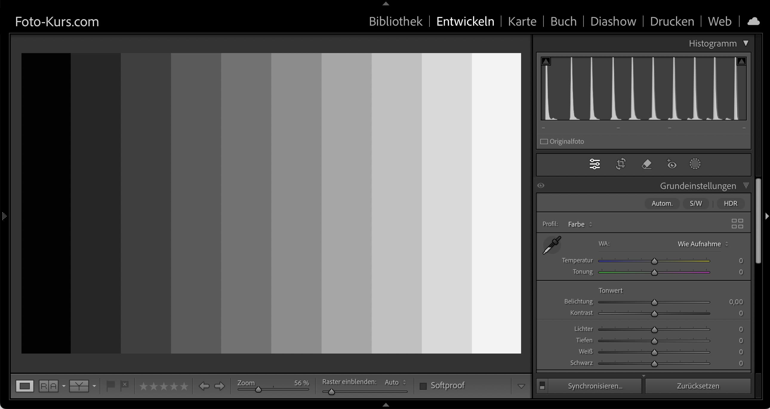 Unser Graukeil und sein Histogramm in Lightroom Unser Graukeil und sein Histogramm in Lightroom