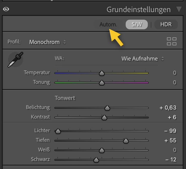 Meine Warnung vor dem komplett automatischen Vorschlag der Belichtungseinstellungen bei den Grundeinstellungen Meine Warnung vor dem komplett automatischen Vorschlag der Belichtungseinstellungen bei den Grundeinstellungen