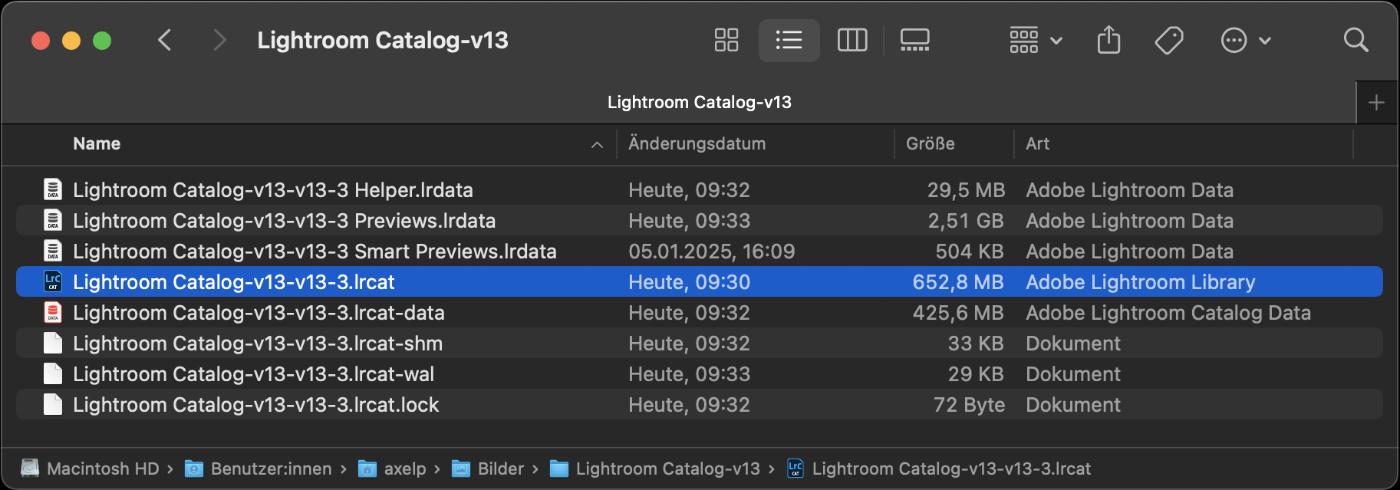 Anzeigen aller Katalogdaten von Lightroom Anzeigen aller Katalogdaten von Lightroom