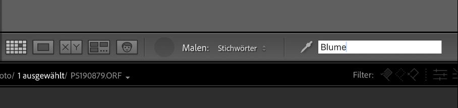 Sprühdose und Stichwörter schneller Fotos zuweisen (taggen) Sprühdose und Stichwörter schneller Fotos zuweisen (taggen)