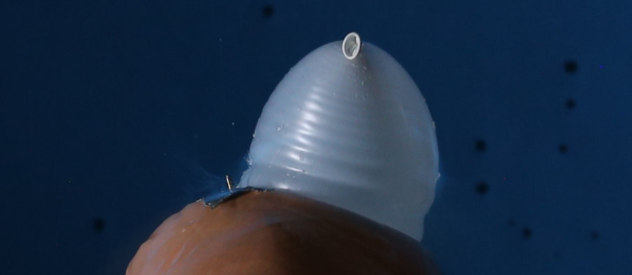 Wasserballon platzt nicht – es gibt interessante Formen